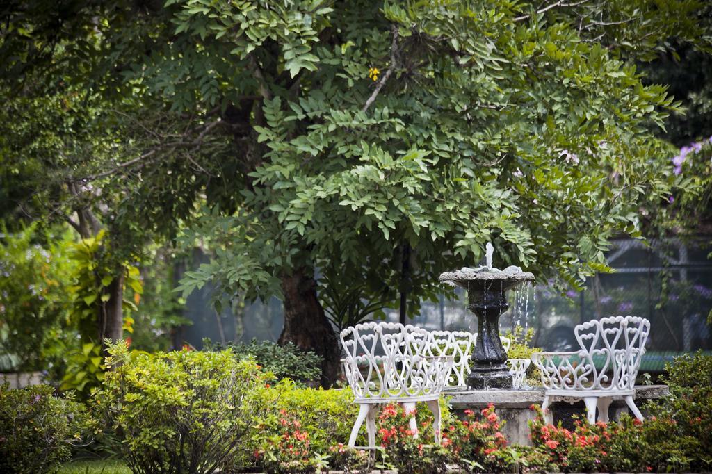 El Rodeo Estancia Boutique Hotel & Steakhouse Σαν Χοσέ Εξωτερικό φωτογραφία